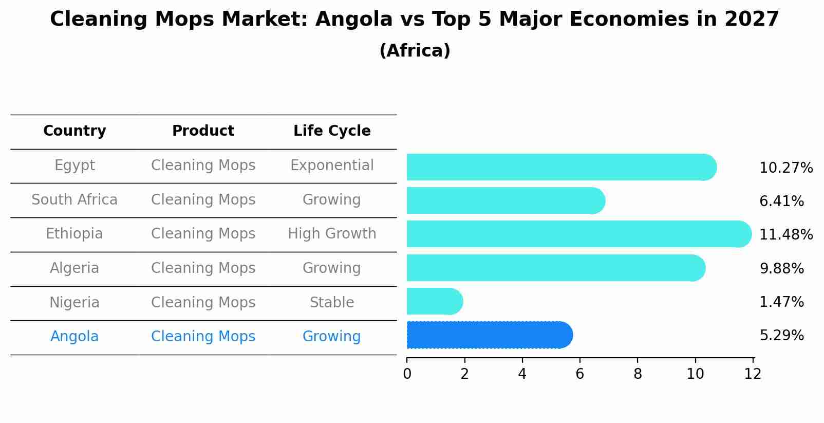 Cleaning Mops Market: Angola vs Top 5 Major Economies in 2027 (Africa)