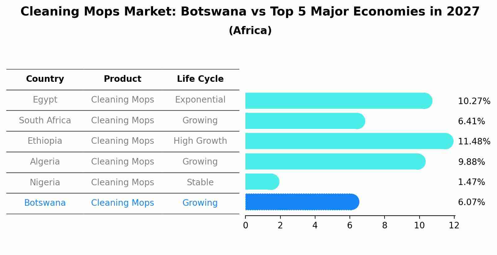 Cleaning Mops Market: Botswana vs Top 5 Major Economies in 2027 (Africa)