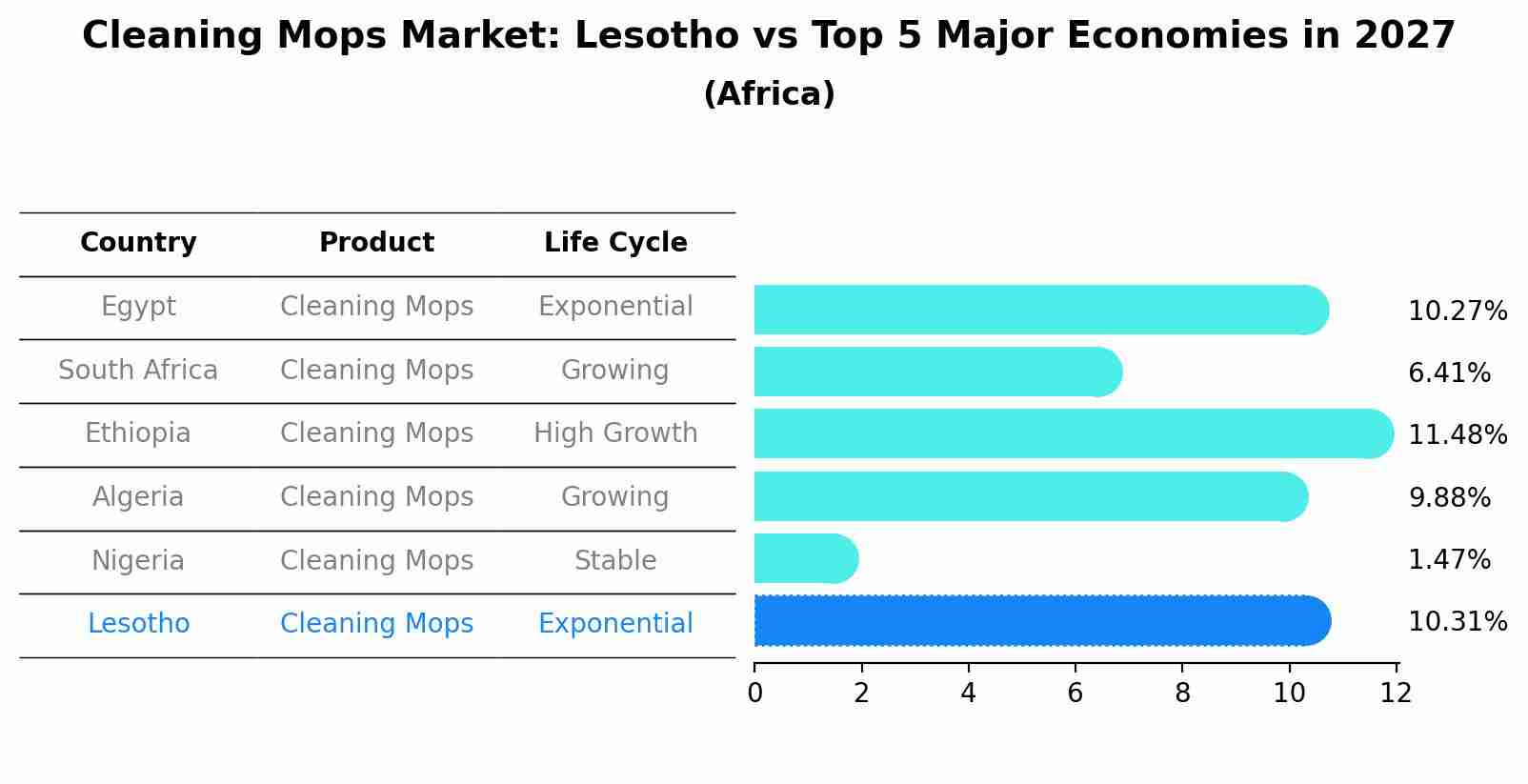 Cleaning Mops Market: Lesotho vs Top 5 Major Economies in 2027 (Africa)