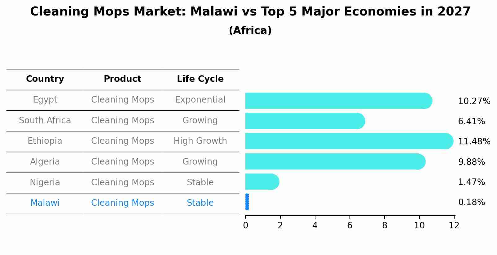 Cleaning Mops Market: Malawi vs Top 5 Major Economies in 2027 (Africa)