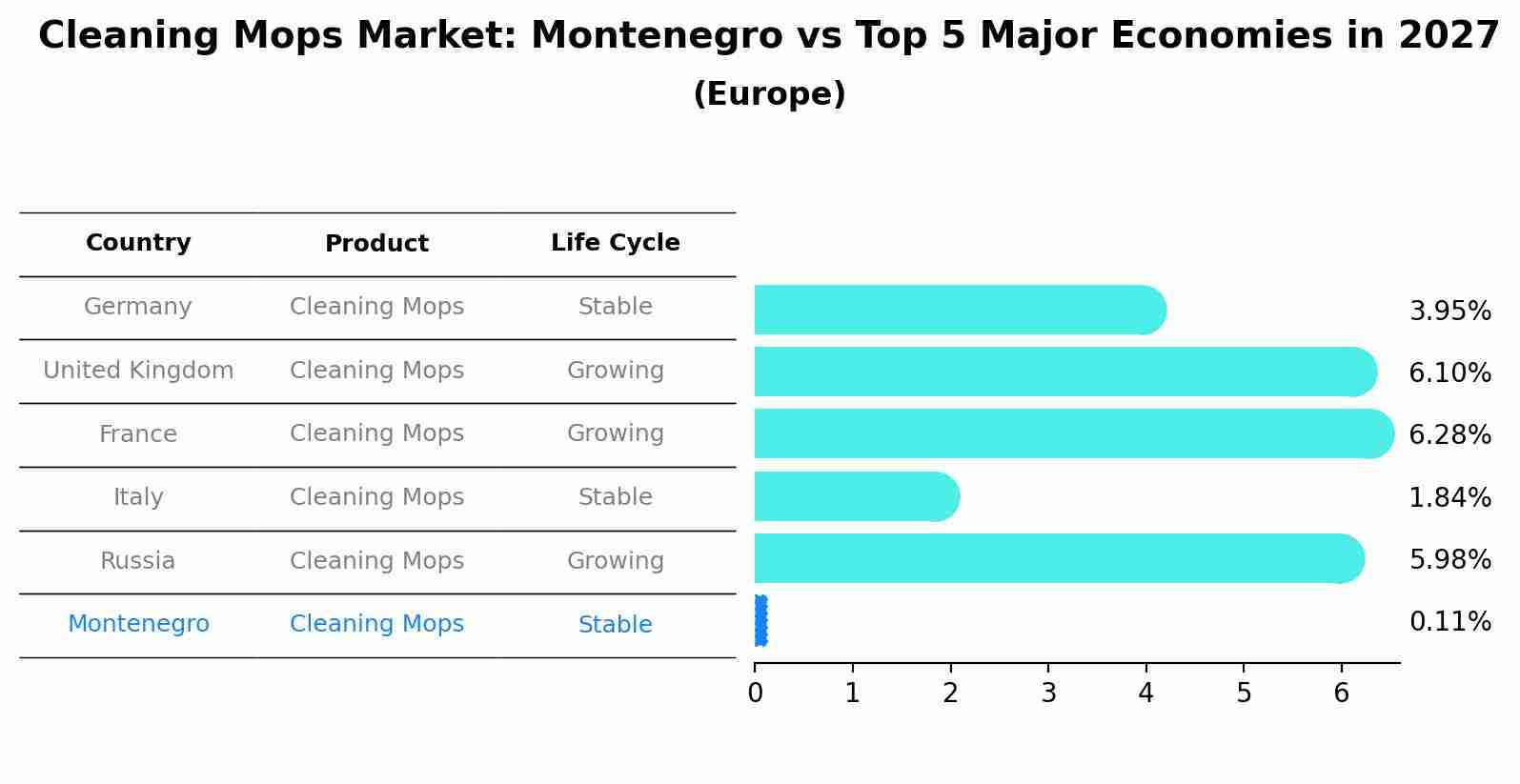 Cleaning Mops Market: Montenegro vs Top 5 Major Economies in 2027 (Europe)