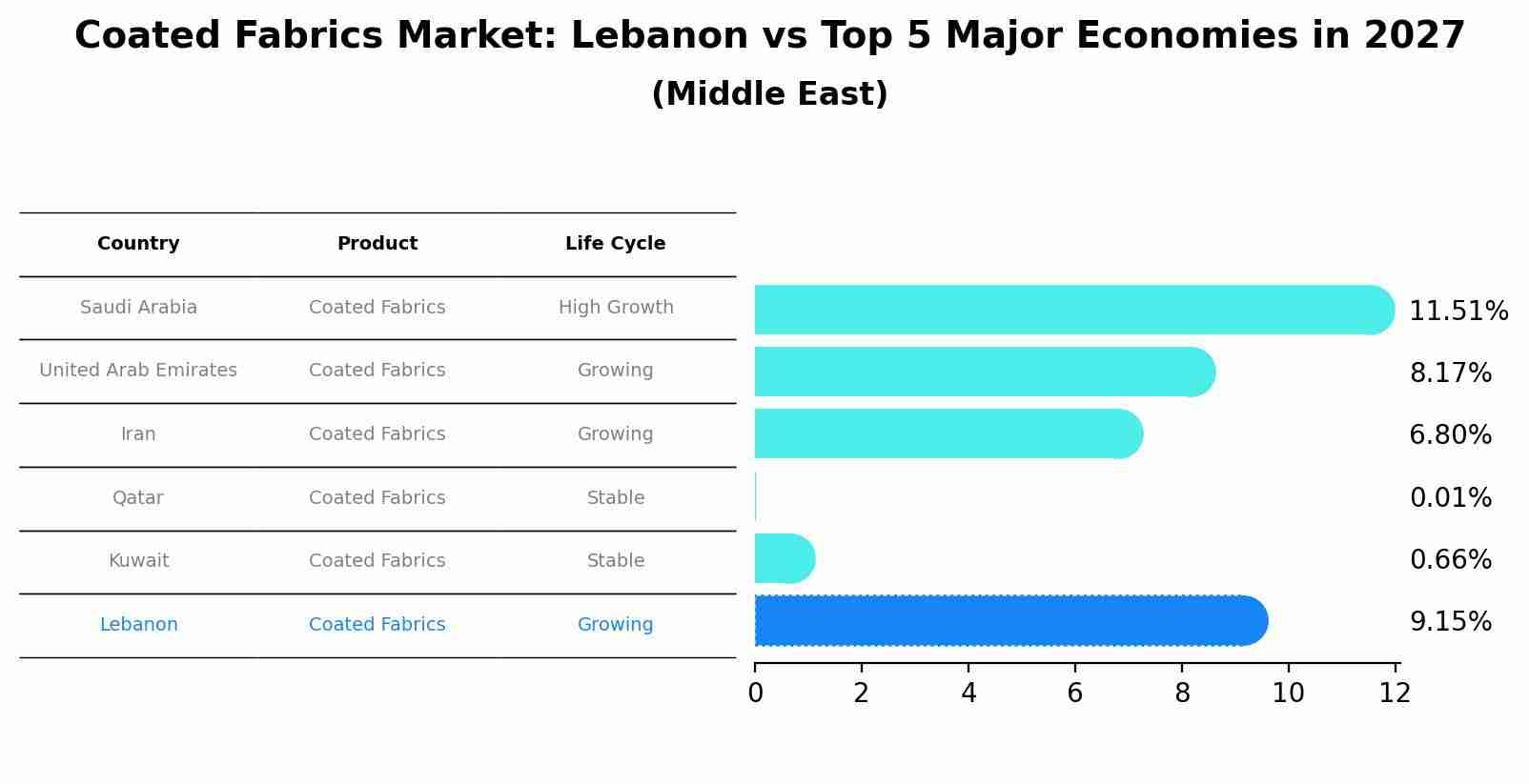 Coated Fabrics Market: Lebanon vs Top 5 Major Economies in 2027 (Middle East)