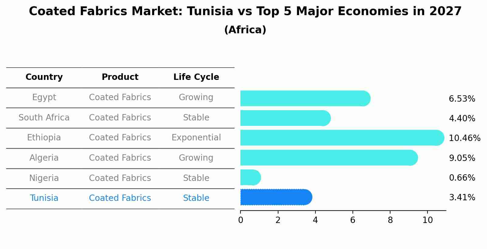 Coated Fabrics Market: Tunisia vs Top 5 Major Economies in 2027 (Africa)