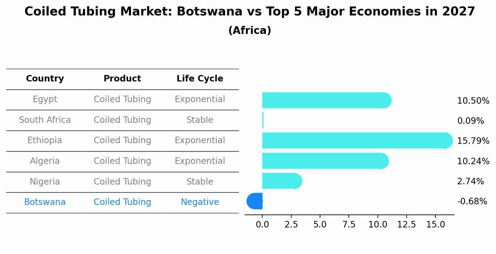 Coiled Tubing Market: Botswana vs Top 5 Major Economies in 2027 (Africa)