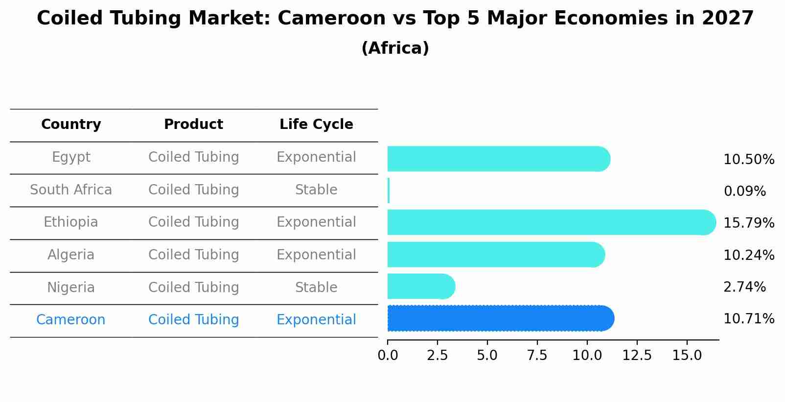 Coiled Tubing Market: Cameroon vs Top 5 Major Economies in 2027 (Africa)