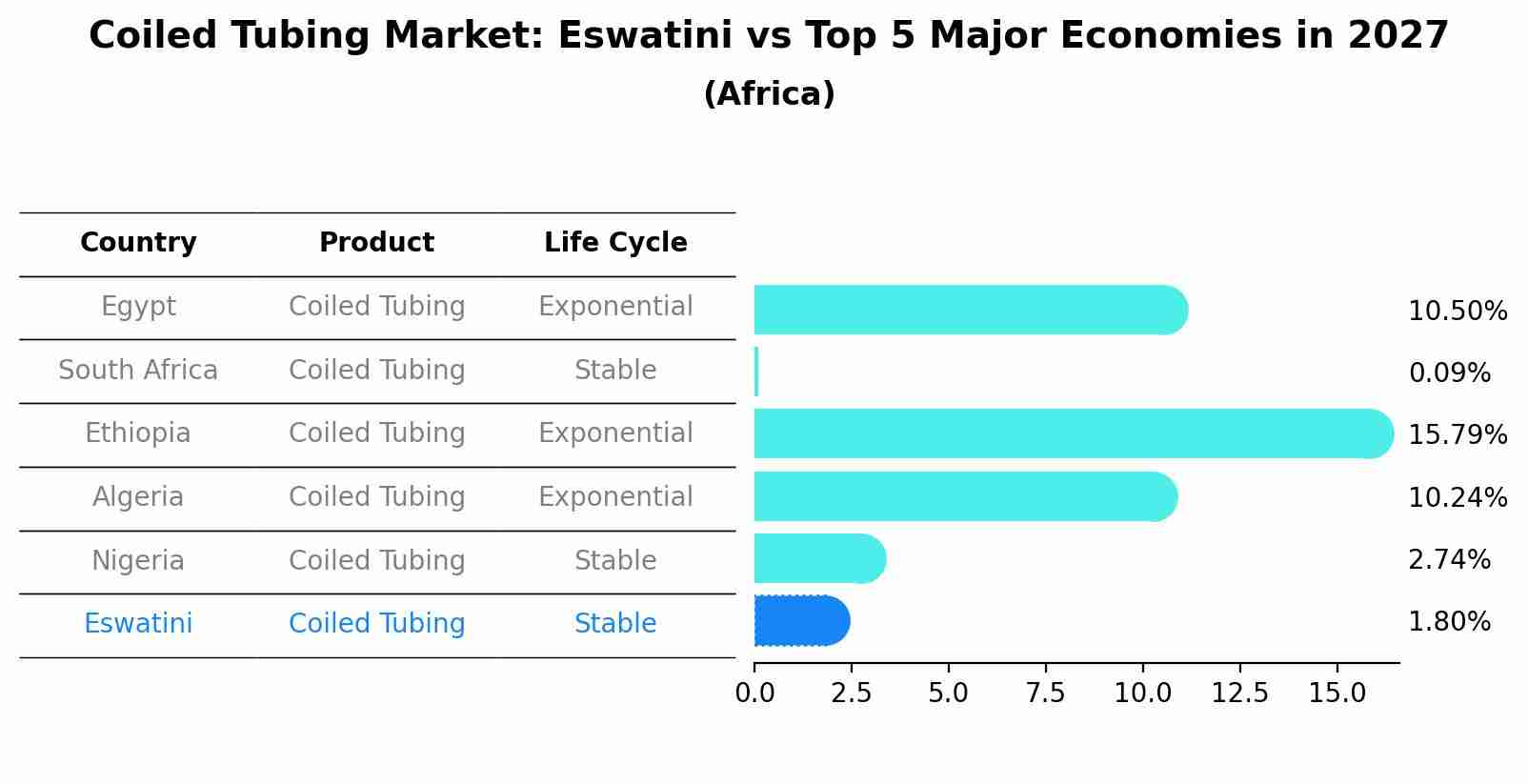 Coiled Tubing Market: Eswatini vs Top 5 Major Economies in 2027 (Africa)