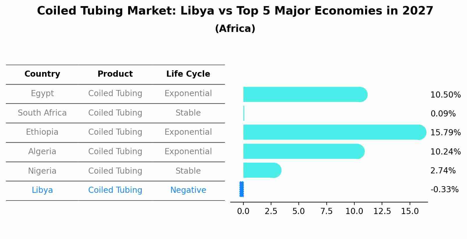 Coiled Tubing Market: Libya vs Top 5 Major Economies in 2027 (Africa)