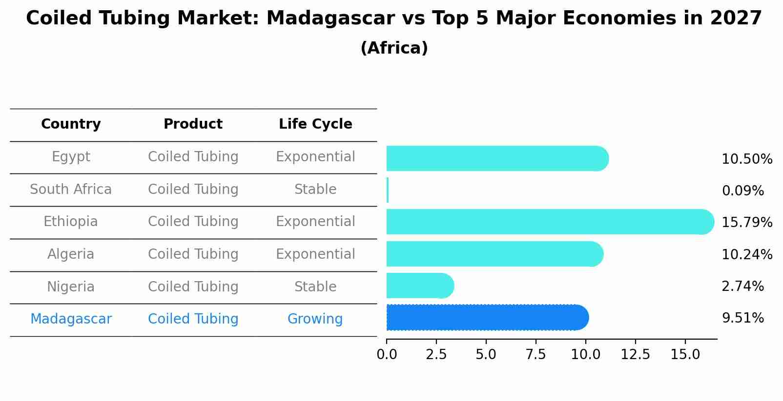 Coiled Tubing Market: Madagascar vs Top 5 Major Economies in 2027 (Africa)