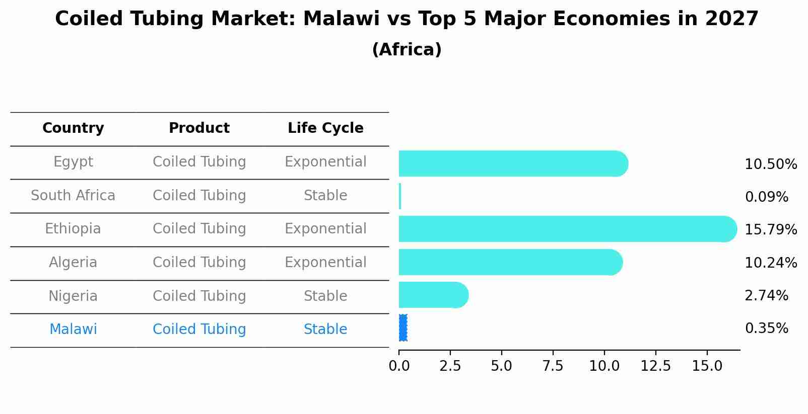 Coiled Tubing Market: Malawi vs Top 5 Major Economies in 2027 (Africa)