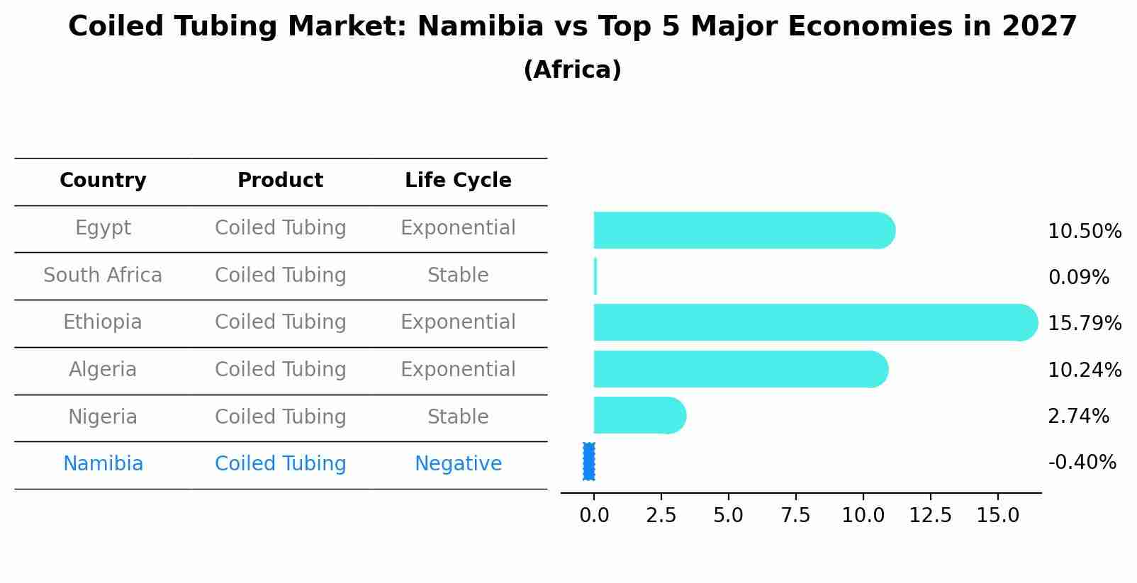 Coiled Tubing Market: Namibia vs Top 5 Major Economies in 2027 (Africa)