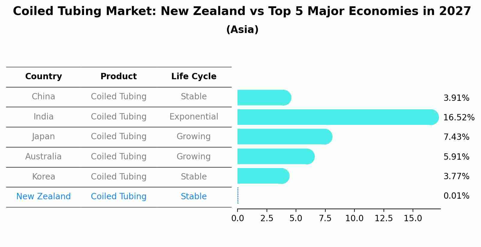 Coiled Tubing Market: New Zealand vs Top 5 Major Economies in 2027 (Asia)