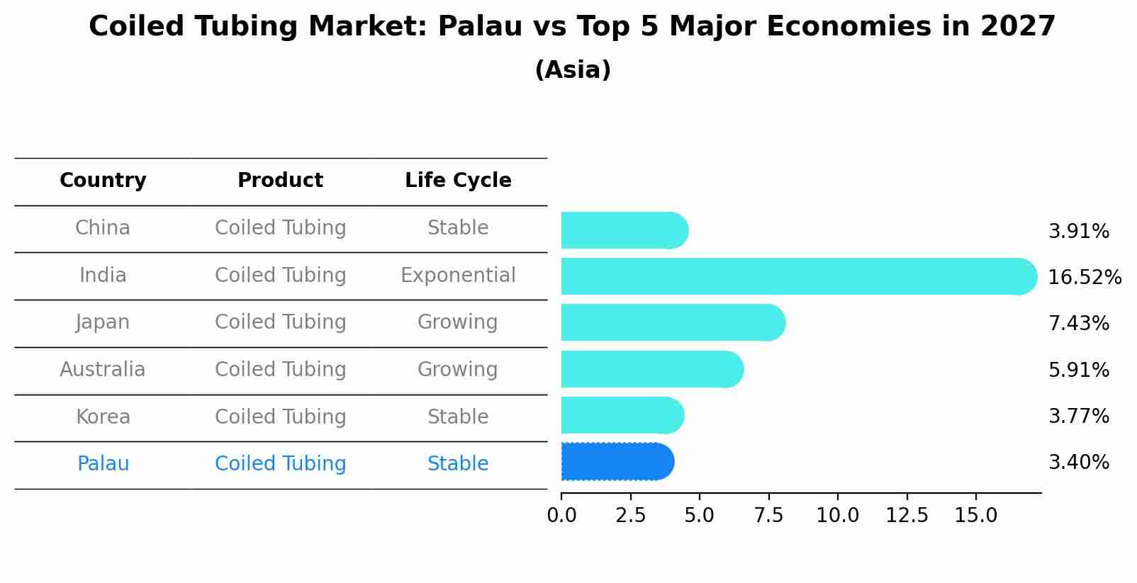 Coiled Tubing Market: Palau vs Top 5 Major Economies in 2027 (Asia)