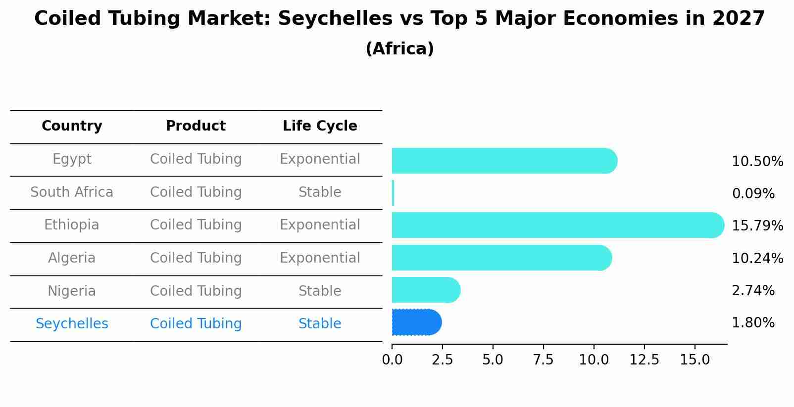Coiled Tubing Market: Seychelles vs Top 5 Major Economies in 2027 (Africa)
