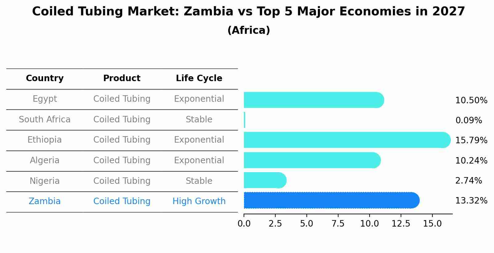 Coiled Tubing Market: Zambia vs Top 5 Major Economies in 2027 (Africa)