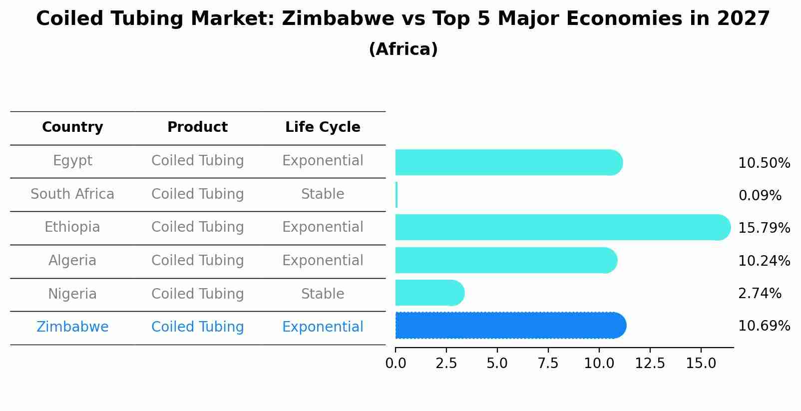 Coiled Tubing Market: Zimbabwe vs Top 5 Major Economies in 2027 (Africa)