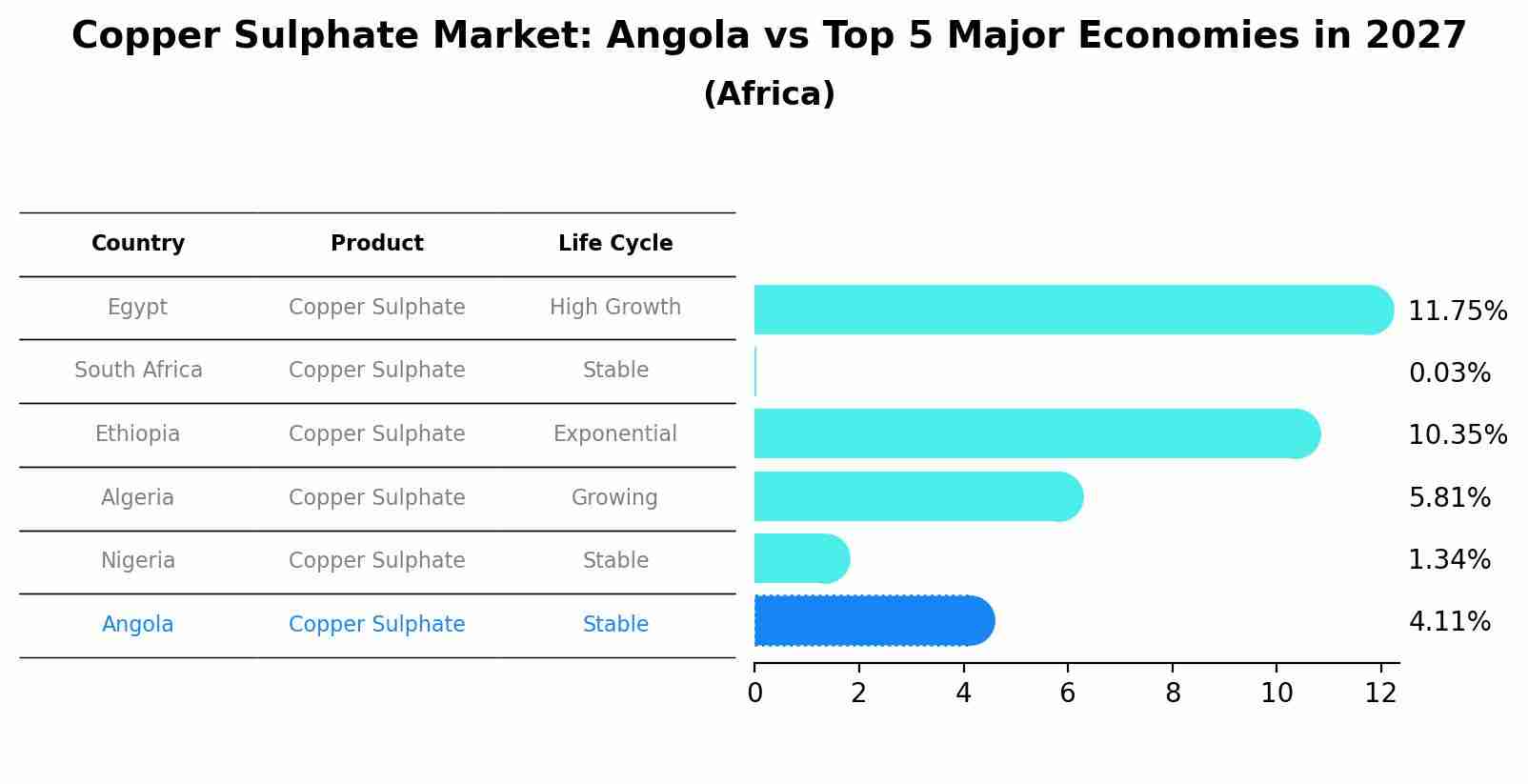 Copper Sulphate Market: Angola vs Top 5 Major Economies in 2027 (Africa)
