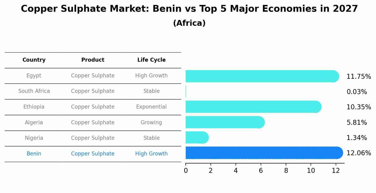 Copper Sulphate Market: Benin vs Top 5 Major Economies in 2027 (Africa)