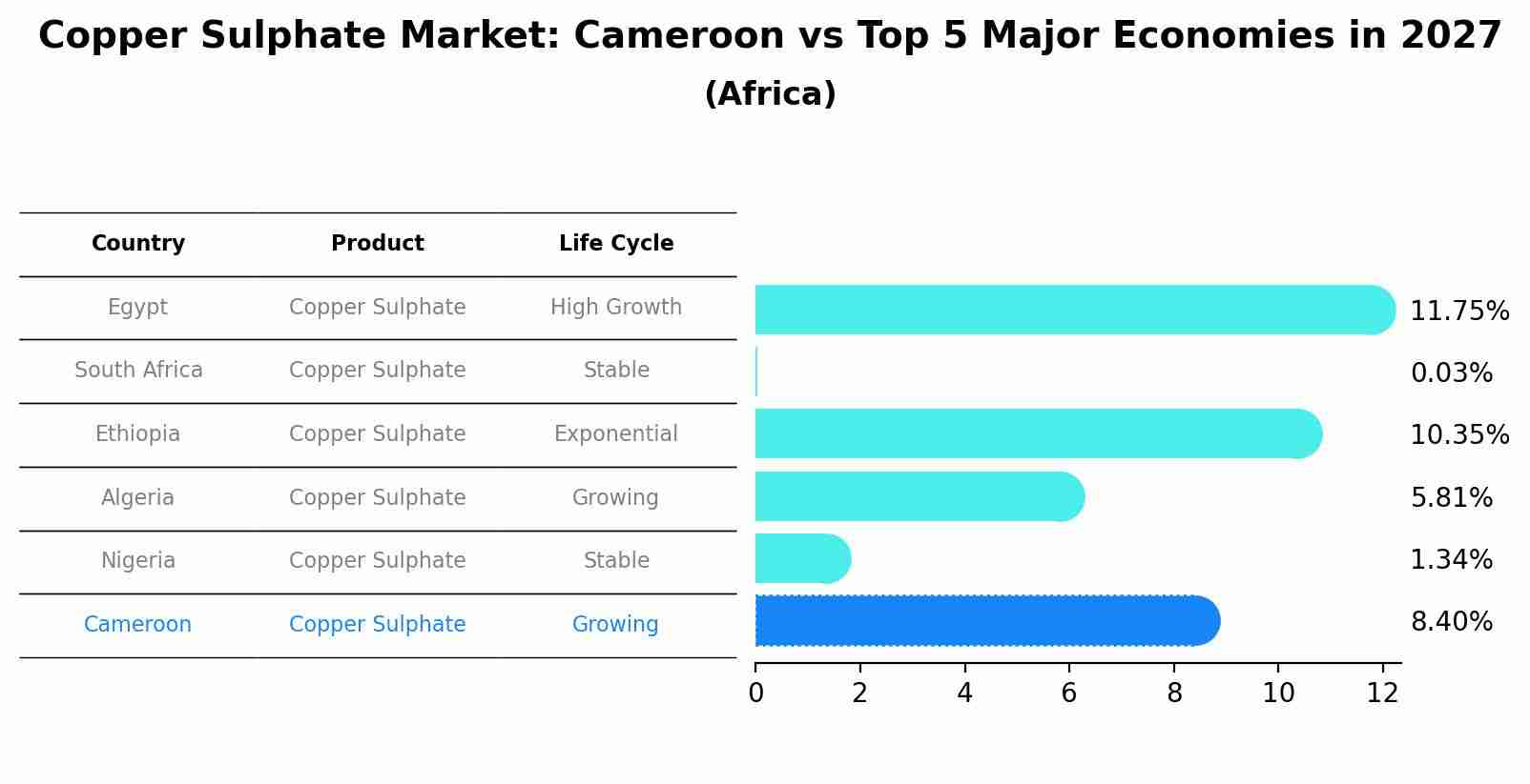 Copper Sulphate Market: Cameroon vs Top 5 Major Economies in 2027 (Africa)