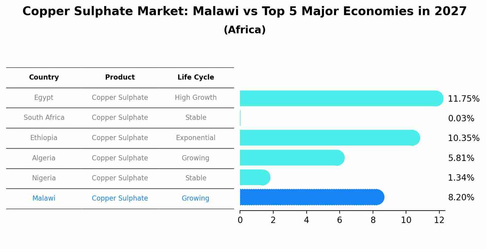 Copper Sulphate Market: Malawi vs Top 5 Major Economies in 2027 (Africa)