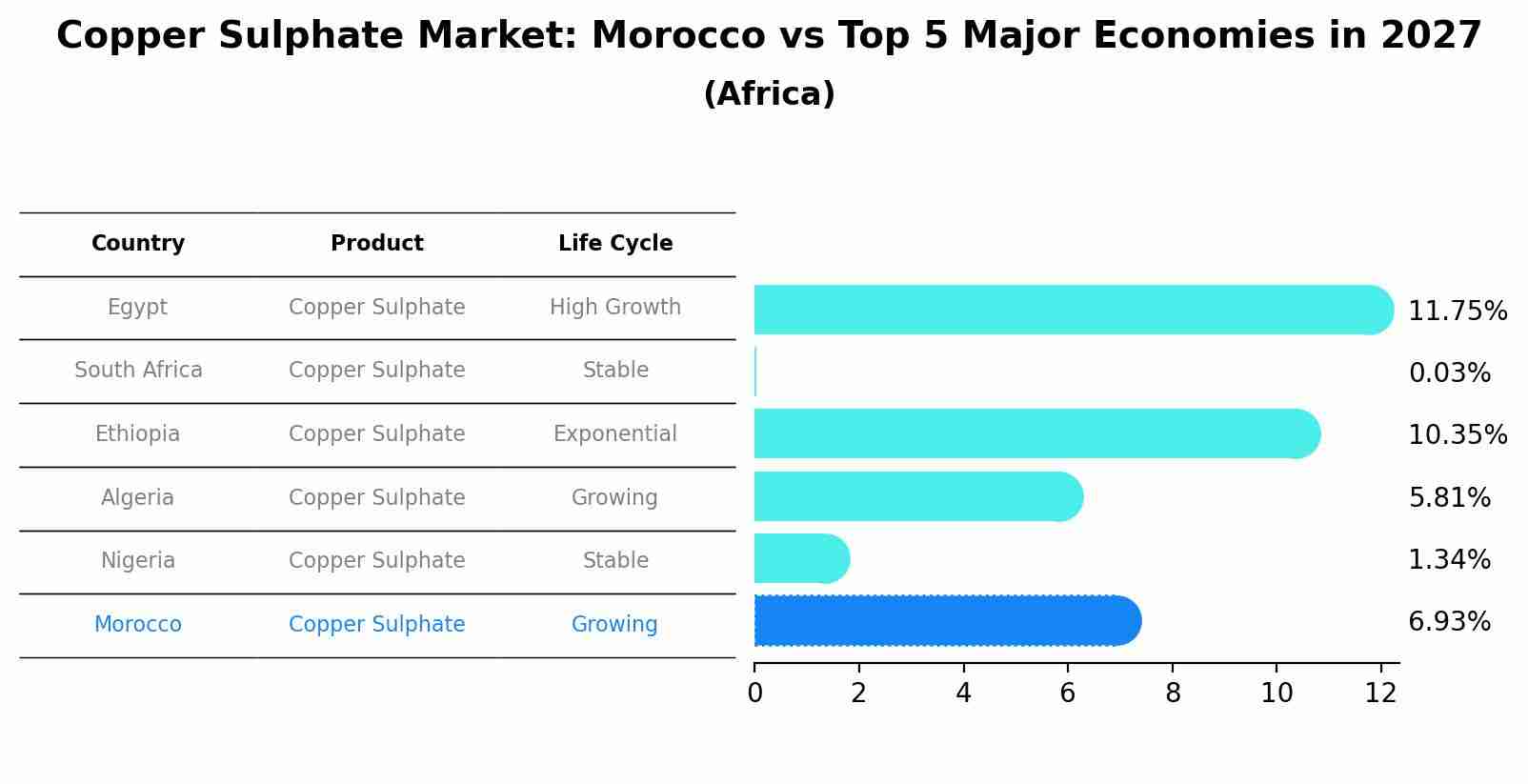 Copper Sulphate Market: Morocco vs Top 5 Major Economies in 2027 (Africa)
