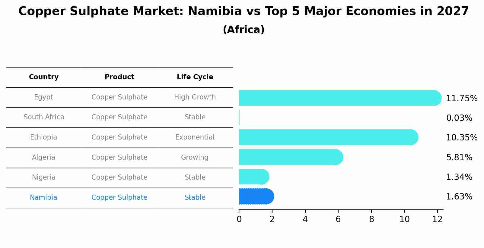 Copper Sulphate Market: Namibia vs Top 5 Major Economies in 2027 (Africa)