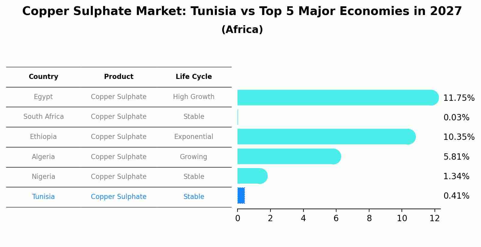 Copper Sulphate Market: Tunisia vs Top 5 Major Economies in 2027 (Africa)