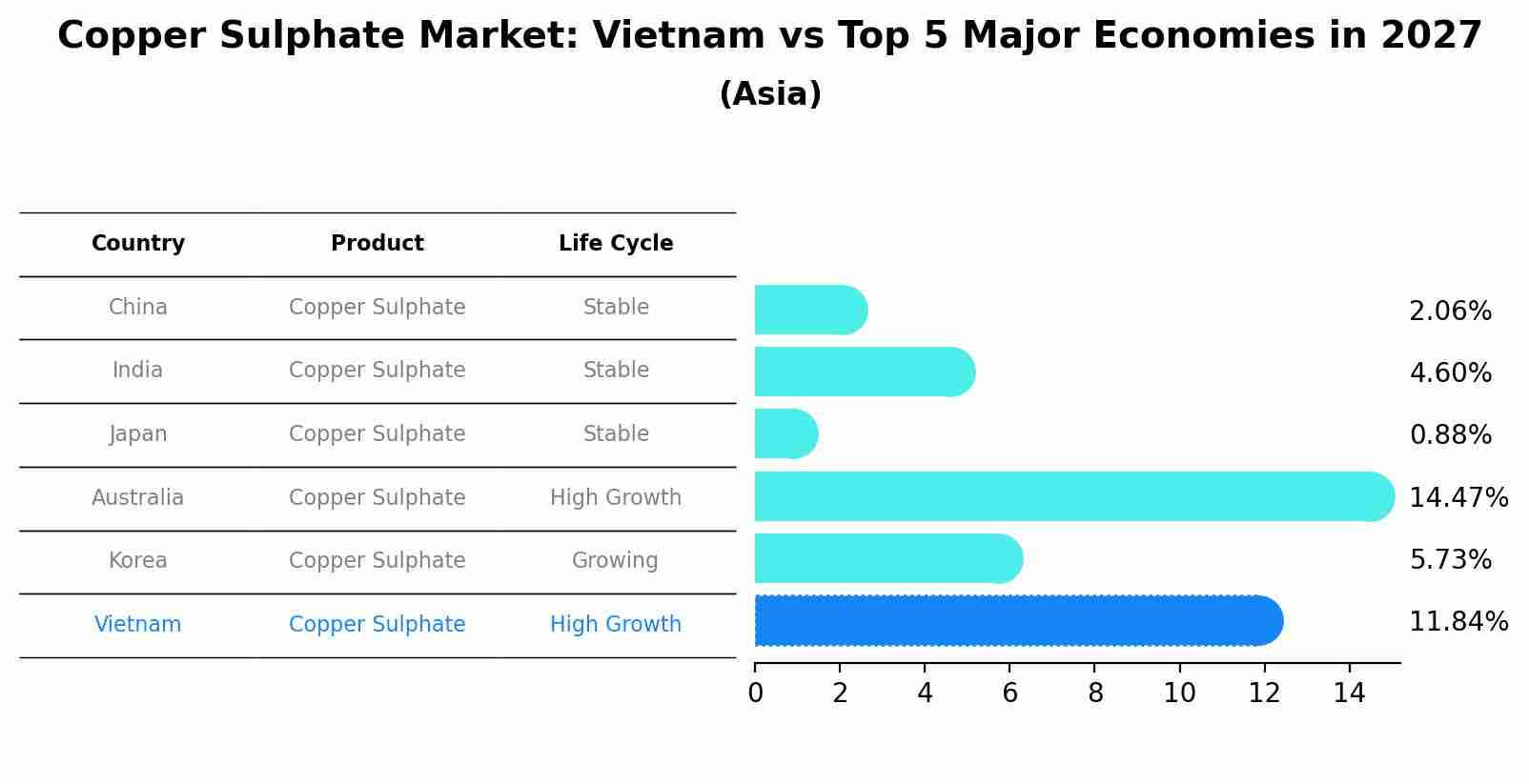 Copper Sulphate Market: Vietnam vs Top 5 Major Economies in 2027 (Asia)