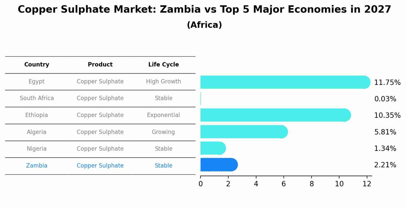 Copper Sulphate Market: Zambia vs Top 5 Major Economies in 2027 (Africa)