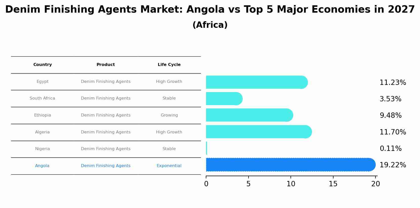 Denim Finishing Agents Market: Angola vs Top 5 Major Economies in 2027 (Africa)