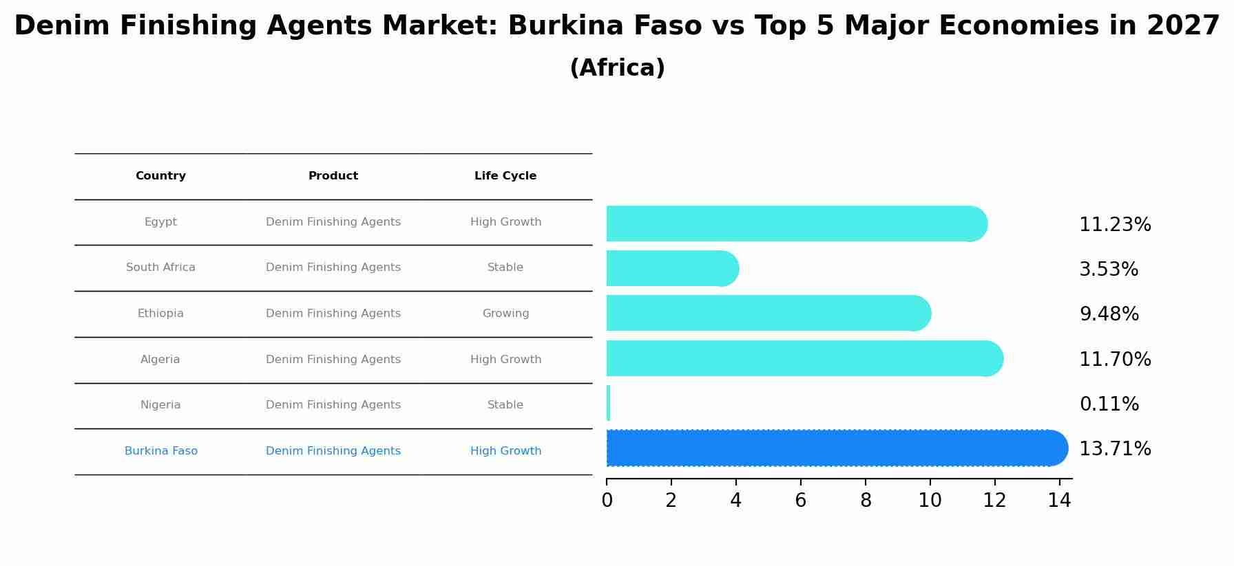 Denim Finishing Agents Market: Burkina Faso vs Top 5 Major Economies in 2027 (Africa)