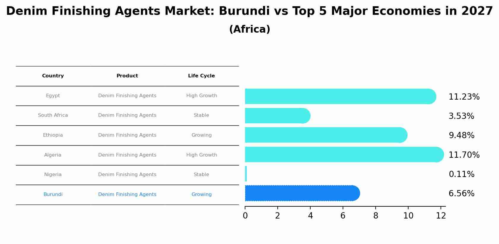 Denim Finishing Agents Market: Burundi vs Top 5 Major Economies in 2027 (Africa)