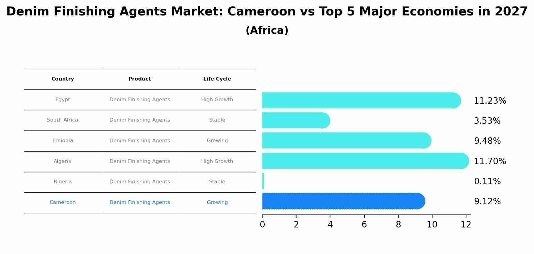 Denim Finishing Agents Market: Cameroon vs Top 5 Major Economies in 2027 (Africa)