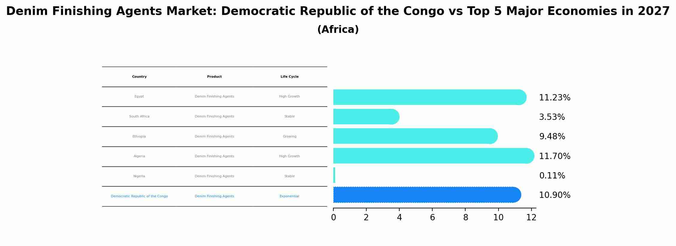 Denim Finishing Agents Market: Democratic Republic of the Congo vs Top 5 Major Economies in 2027 (Africa)