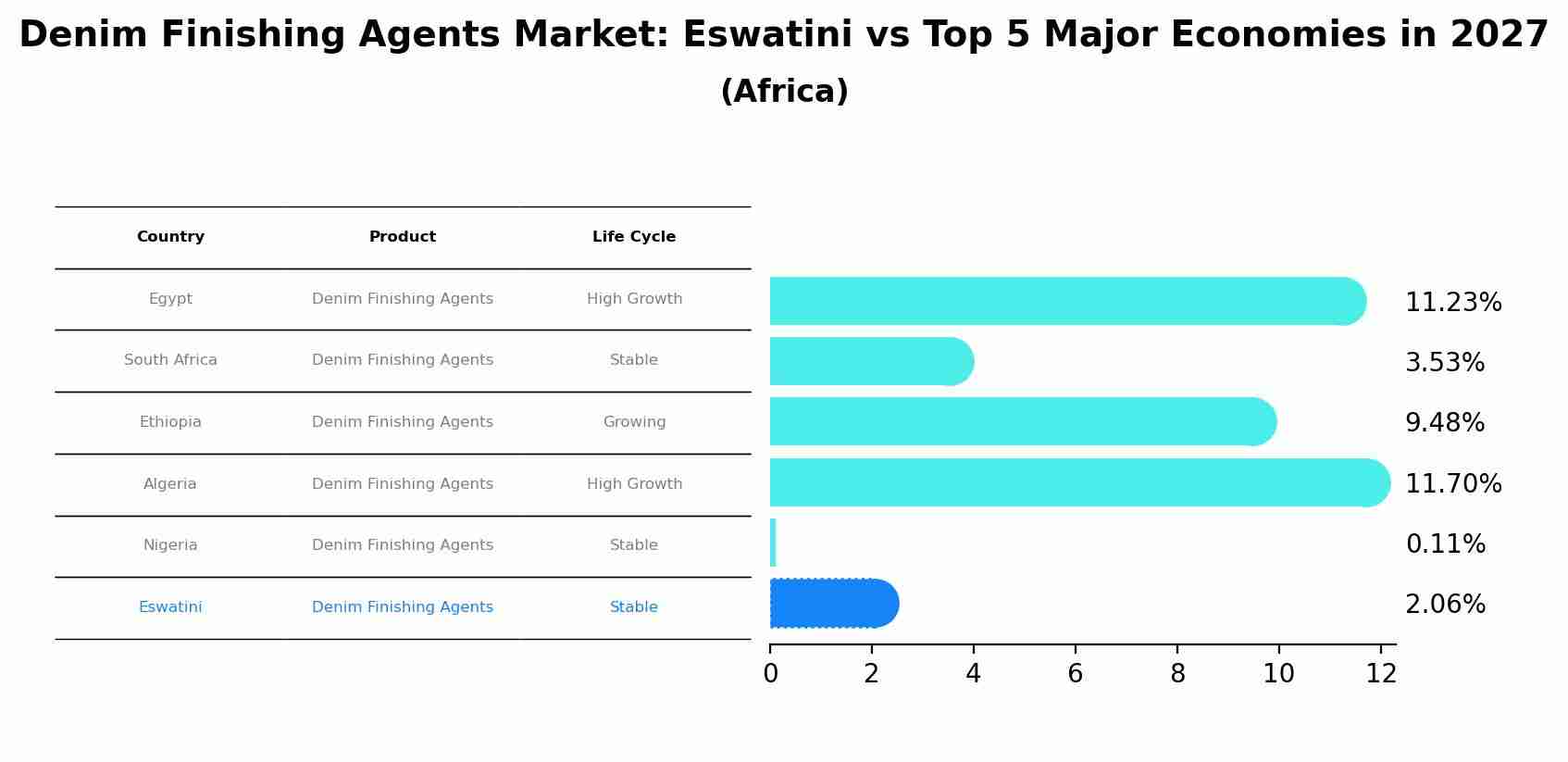 Denim Finishing Agents Market: Eswatini vs Top 5 Major Economies in 2027 (Africa)