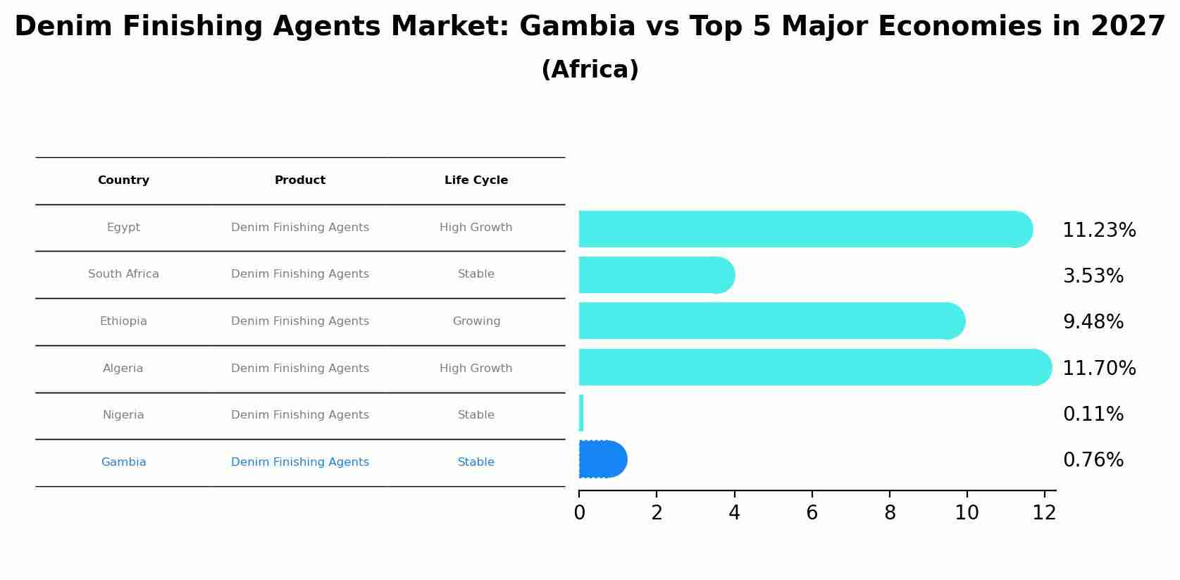 Denim Finishing Agents Market: Gambia vs Top 5 Major Economies in 2027 (Africa)