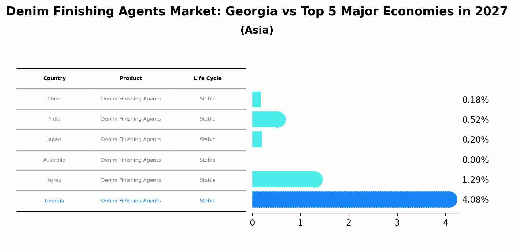 Denim Finishing Agents Market: Georgia vs Top 5 Major Economies in 2027 (Asia)