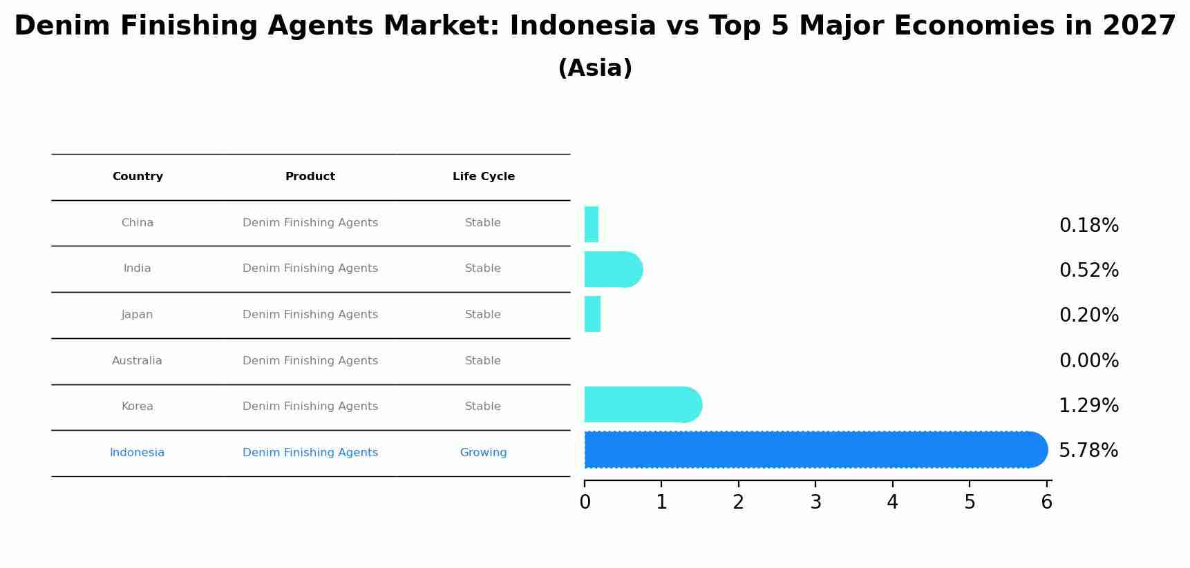 Denim Finishing Agents Market: Indonesia vs Top 5 Major Economies in 2027 (Asia)
