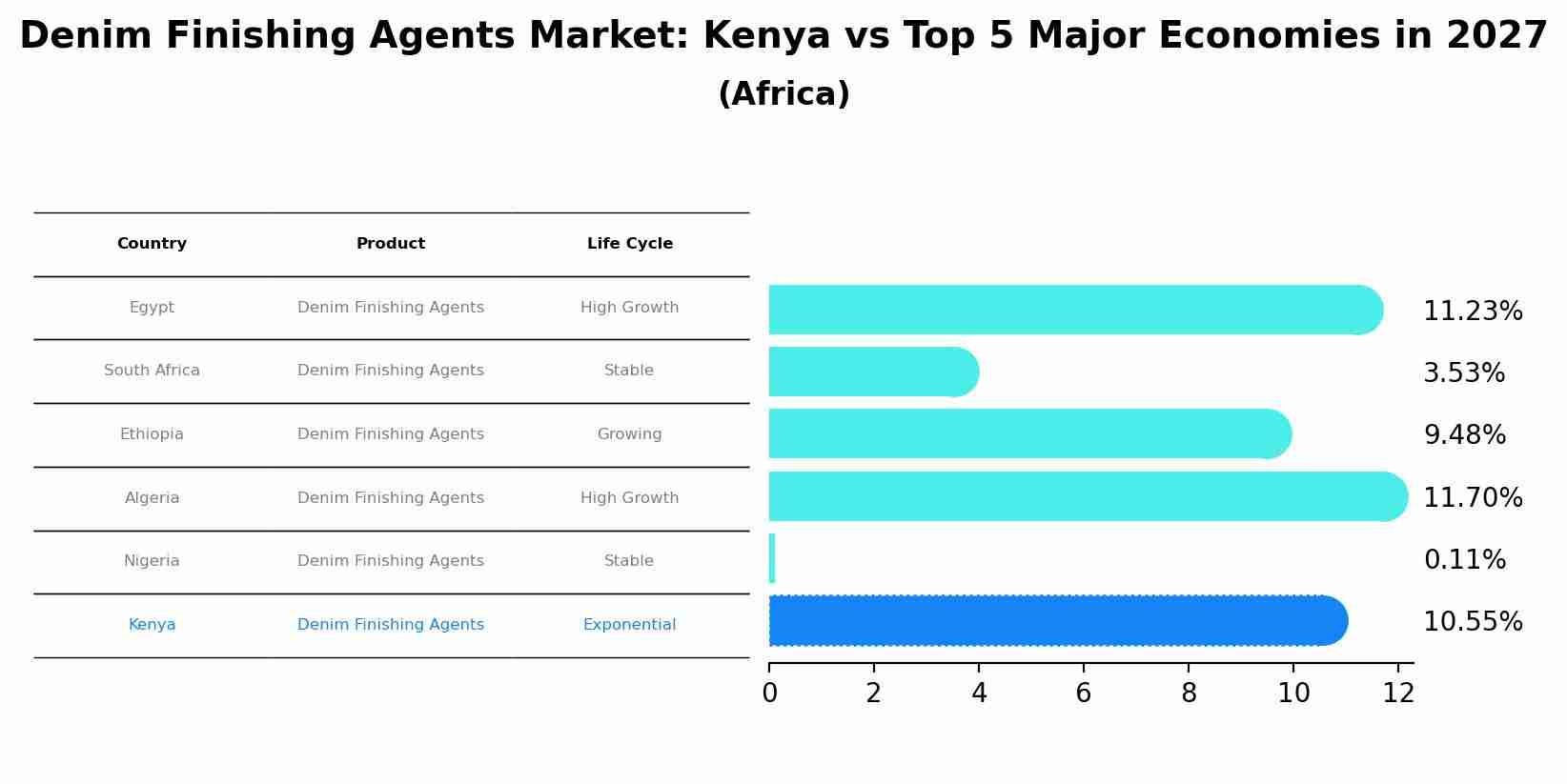 Denim Finishing Agents Market: Kenya vs Top 5 Major Economies in 2027 (Africa)