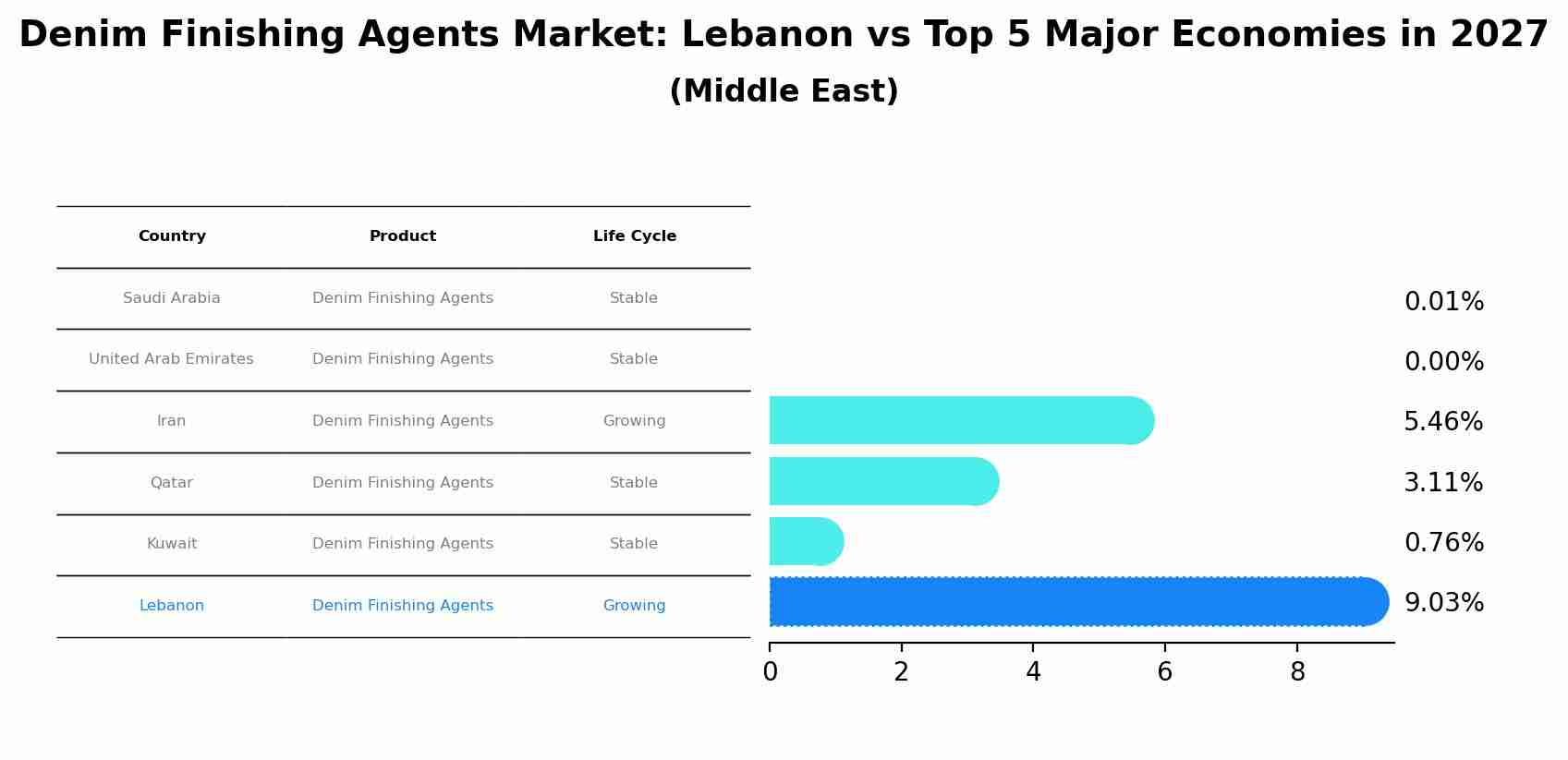 Denim Finishing Agents Market: Lebanon vs Top 5 Major Economies in 2027 (Middle East)