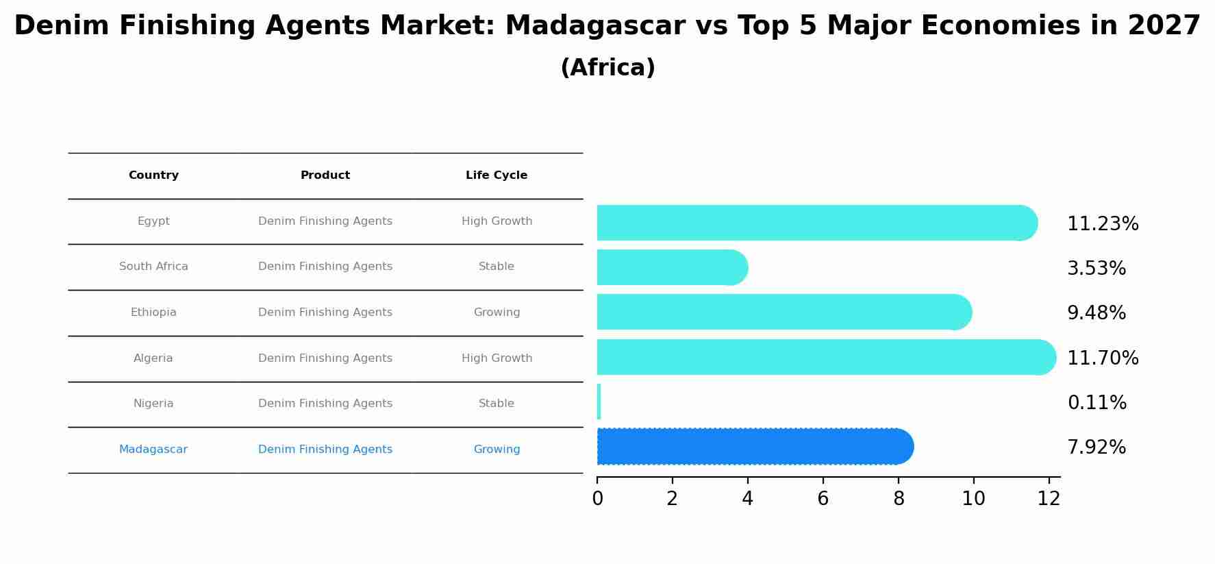 Denim Finishing Agents Market: Madagascar vs Top 5 Major Economies in 2027 (Africa)