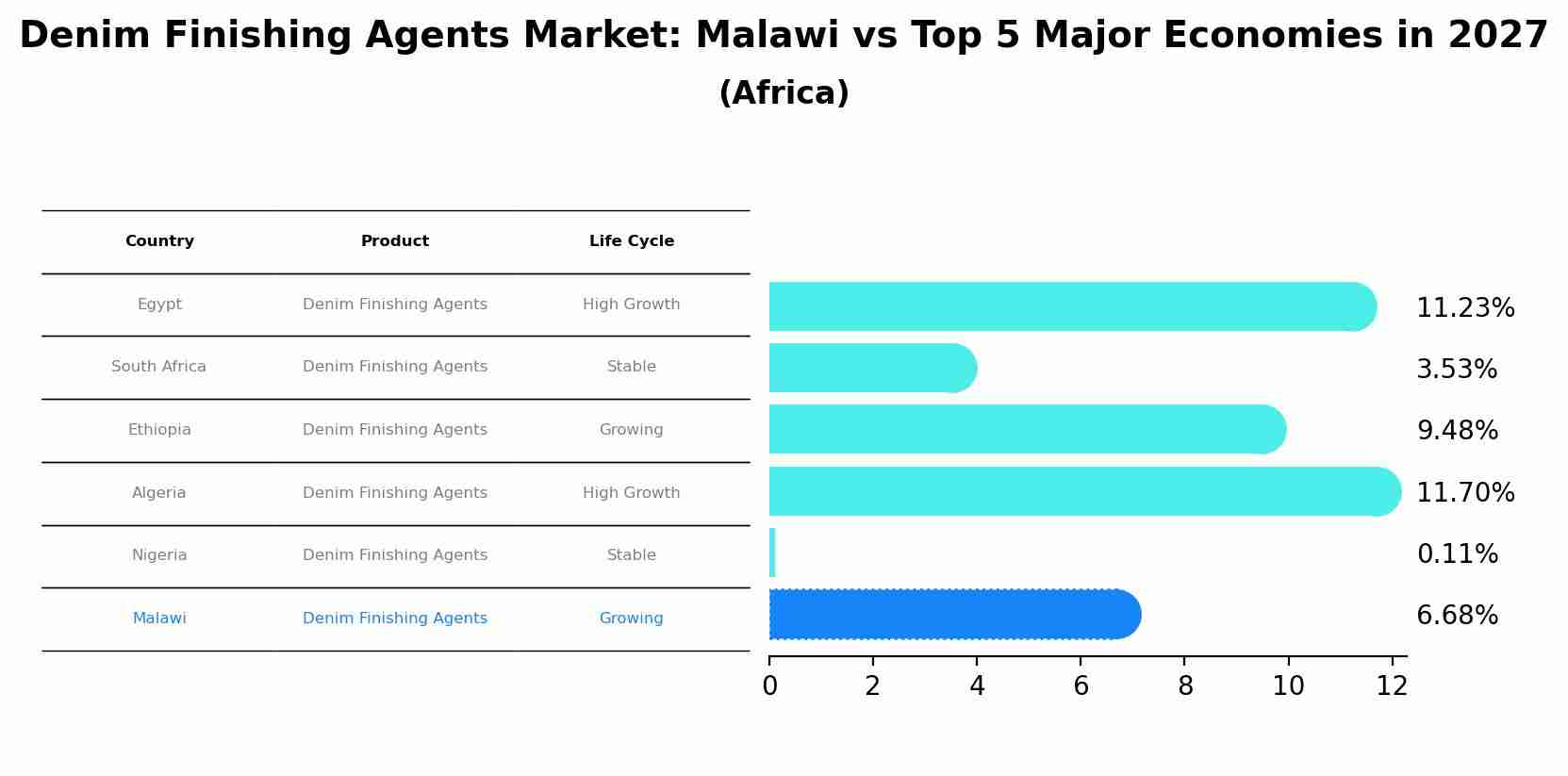 Denim Finishing Agents Market: Malawi vs Top 5 Major Economies in 2027 (Africa)