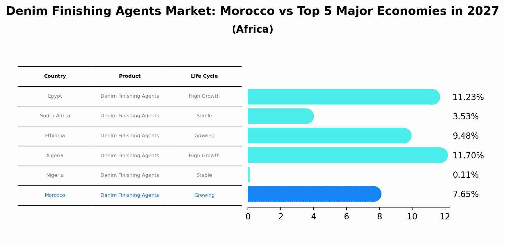 Denim Finishing Agents Market: Morocco vs Top 5 Major Economies in 2027 (Africa)
