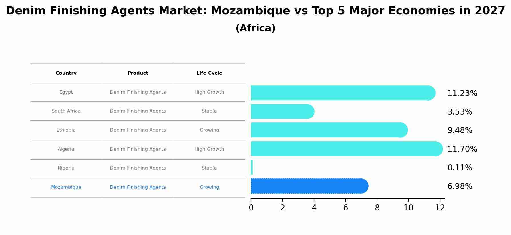 Denim Finishing Agents Market: Mozambique vs Top 5 Major Economies in 2027 (Africa)