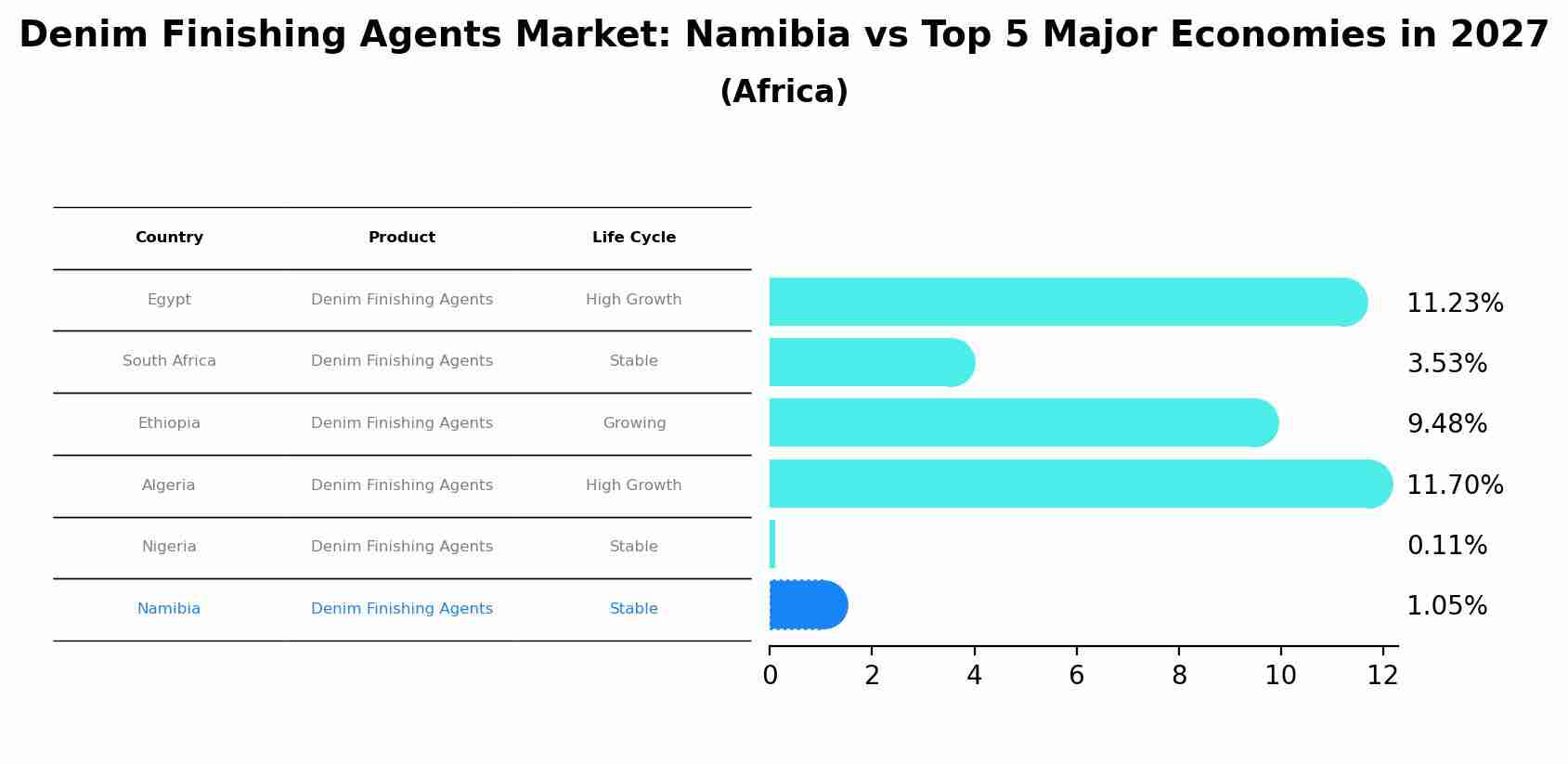 Denim Finishing Agents Market: Namibia vs Top 5 Major Economies in 2027 (Africa)