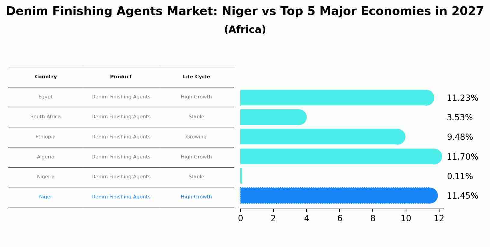 Denim Finishing Agents Market: Niger vs Top 5 Major Economies in 2027 (Africa)
