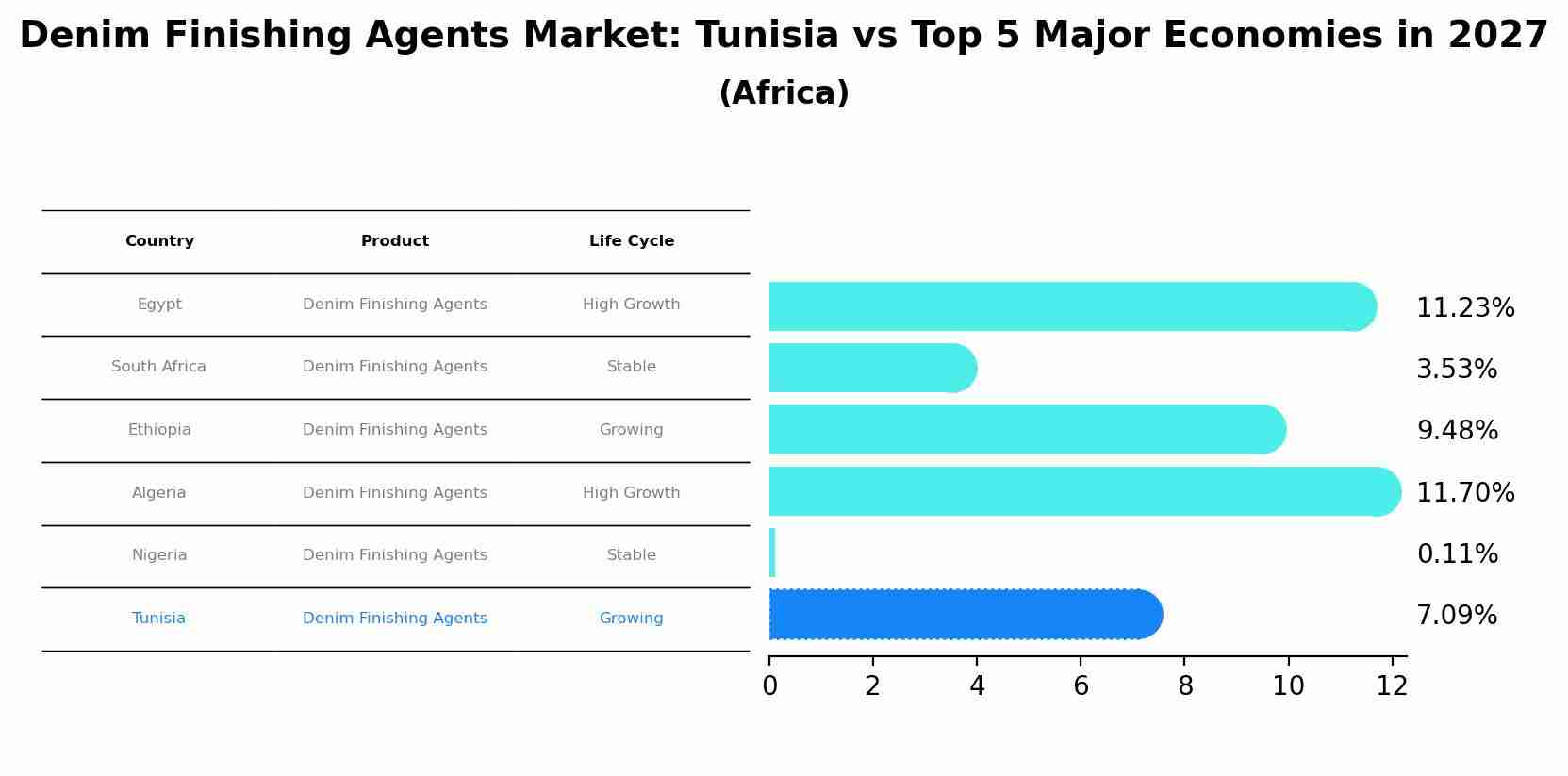 Denim Finishing Agents Market: Tunisia vs Top 5 Major Economies in 2027 (Africa)