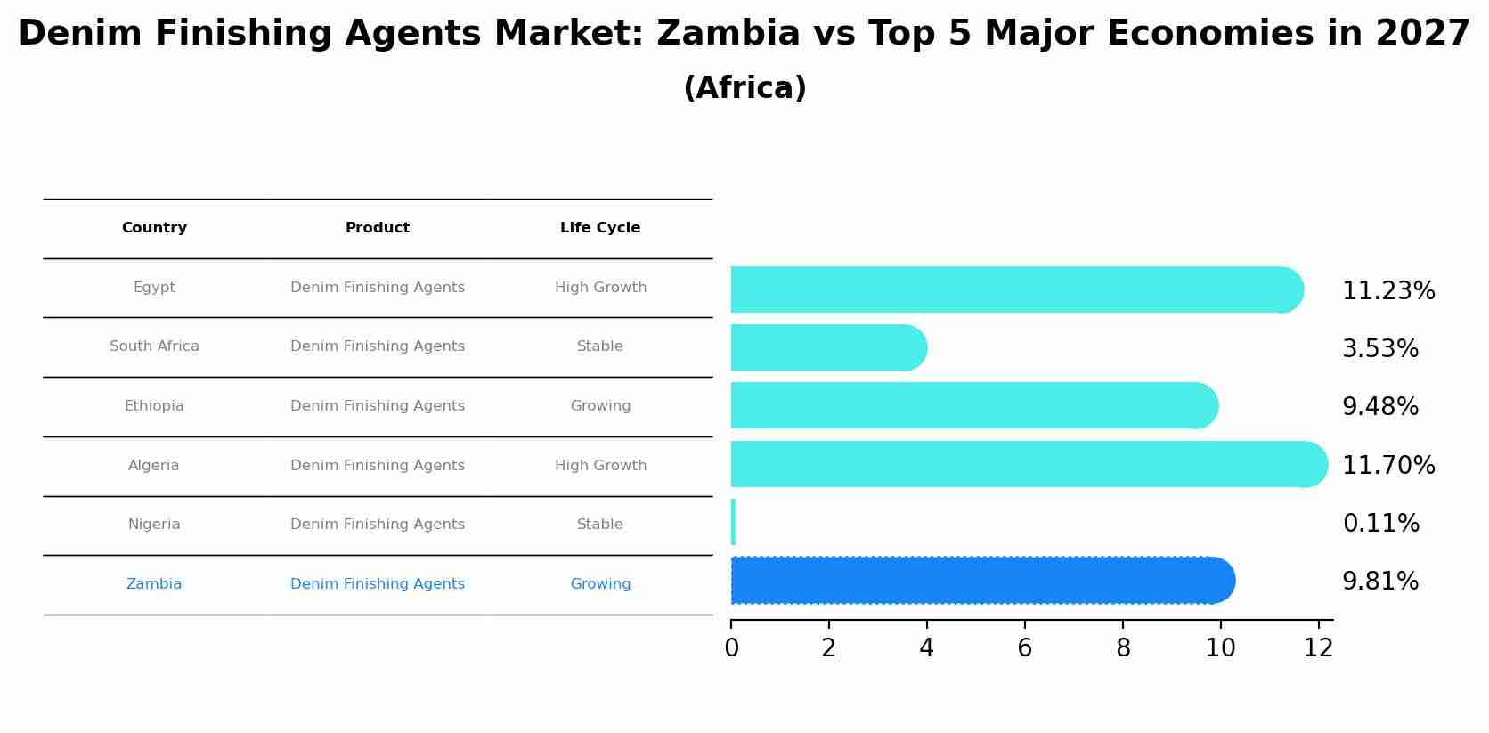 Denim Finishing Agents Market: Zambia vs Top 5 Major Economies in 2027 (Africa)