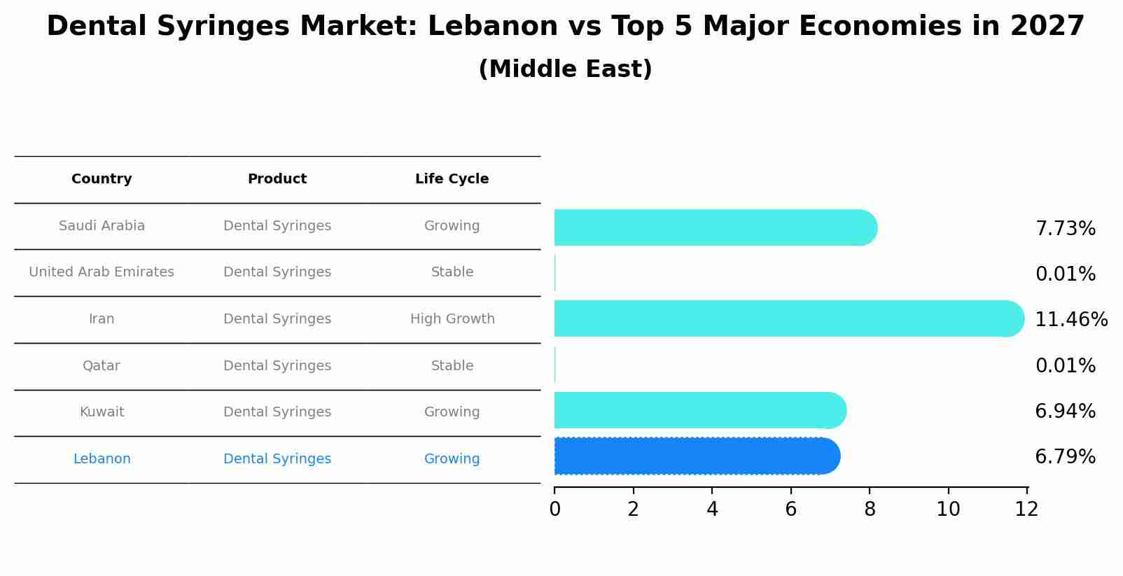 Dental Syringes Market: Lebanon vs Top 5 Major Economies in 2027 (Middle East)