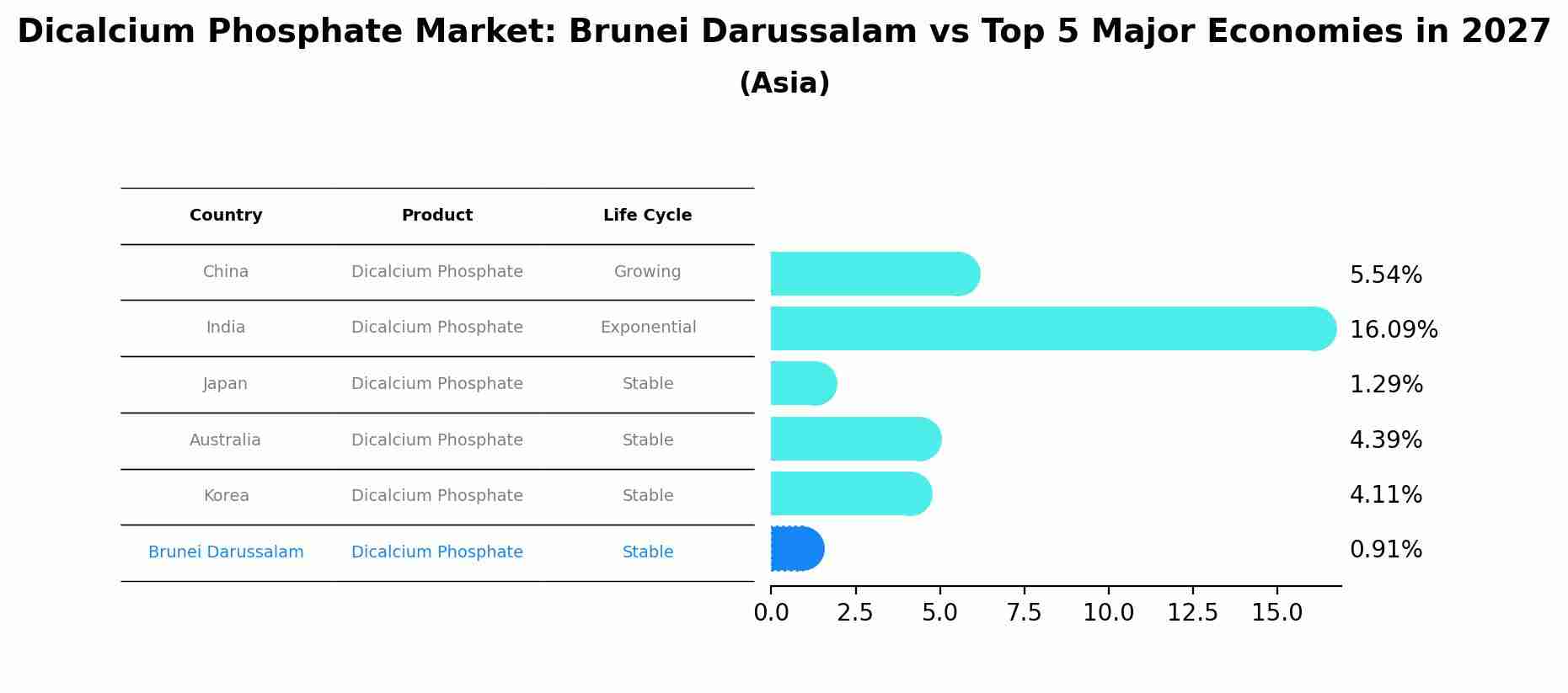 Dicalcium Phosphate Market: Brunei Darussalam vs Top 5 Major Economies in 2027 (Asia)