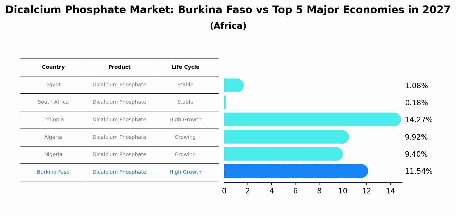 Dicalcium Phosphate Market: Burkina Faso vs Top 5 Major Economies in 2027 (Africa)